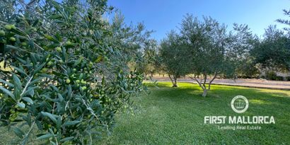 Real Estates picture 14 Ref. Nr. R23587