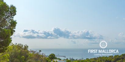 Real Estates picture 0 Ref. Nr. R8081