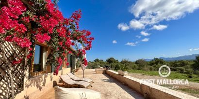 Inmobiliaria picture 3 Ref. Nº. R23647