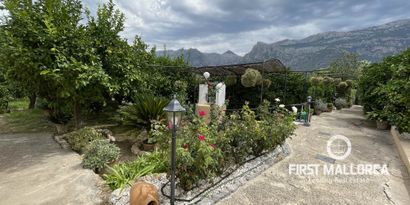 Immobilien picture 4 Ref. Nr. 77662