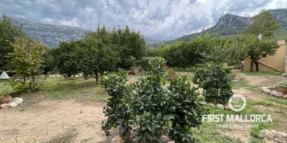 Immobilien picture 9 Ref. Nr. 77662