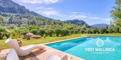 Real Estates picture 0 Ref. 77814