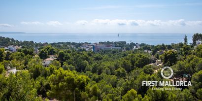 Real Estates picture 2 Ref. Nr. 77841