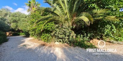 Real Estates picture 5 Ref. R23788