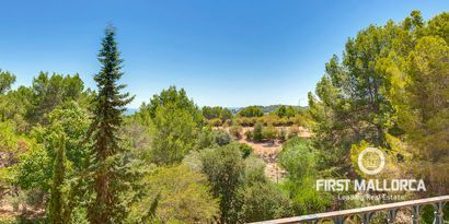 Inmobiliaria picture 2 Ref. Nº. 67431