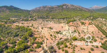 Inmobiliaria picture 15 Ref. Nº. 67431