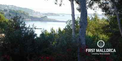 Inmobiliaria picture 0 Ref. Nº. 64232