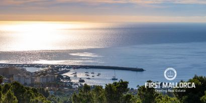 Real Estates picture 31 Ref. Nr. 78177