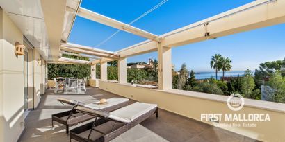 Real Estates picture 0 Ref. 77332