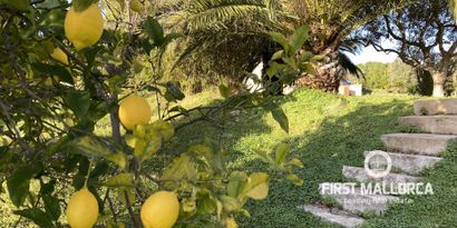 Inmobiliaria picture 12 Ref. Nº. 78316