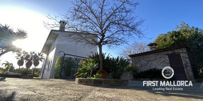 Inmobiliaria picture 13 Ref. Nº. 78316