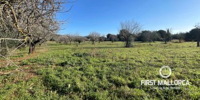 Недвижимость picture 0 Ref 78518