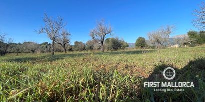 Недвижимость picture 2 Ref 78518