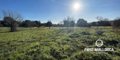 Недвижимость picture 1 Ref 78518