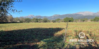 Недвижимость picture 7 Ref 78518