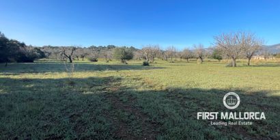 Недвижимость picture 6 Ref 78518