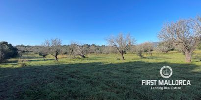 Недвижимость picture 5 Ref 78518