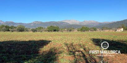 Недвижимость picture 3 Ref 78518