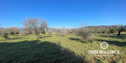 Недвижимость picture 4 Ref 78518