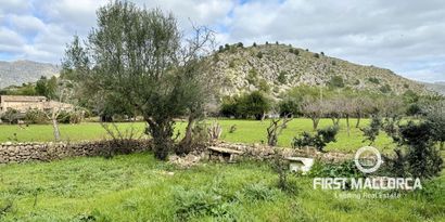 Real Estates picture 15 Ref. 72173