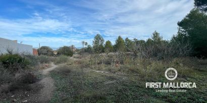 Inmobiliaria picture 1 Ref. Nº. 78287