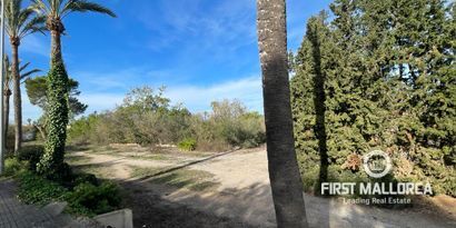 Inmobiliaria picture 0 Ref. Nº. 78287