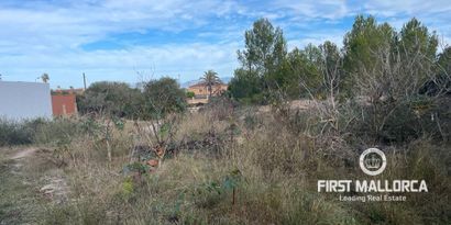 Inmobiliaria picture 3 Ref. Nº. 78287