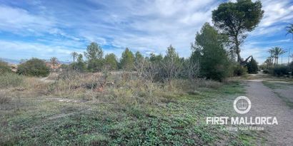 Inmobiliaria picture 2 Ref. Nº. 78287