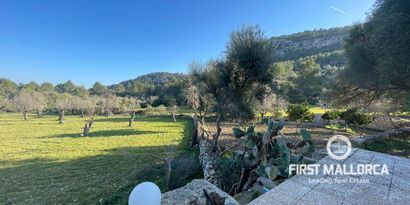 Real Estates picture 9 Ref. R19823