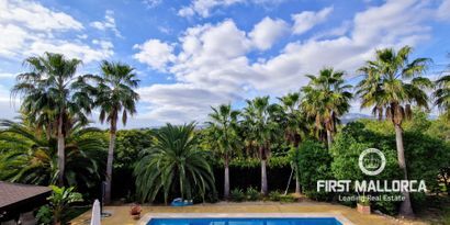 Real Estates picture 7 Ref. 65991