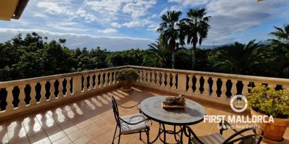 Real Estates picture 12 Ref. 65991