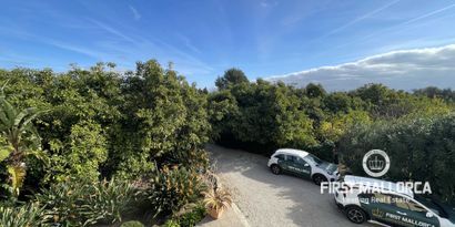 Real Estates picture 9 Ref. 65991