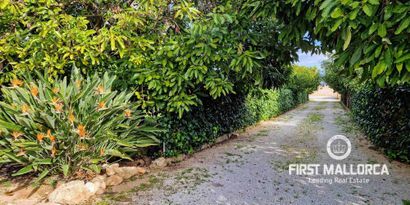 Real Estates picture 19 Ref. 65991