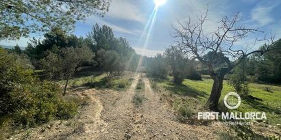 Недвижимость picture 3 Ref 78551