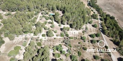 Недвижимость picture 4 Ref 78551