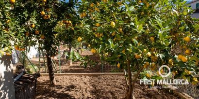 Real Estates picture 5 Ref. Nr. 78591