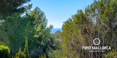 Real Estates picture 20 Ref. 78370