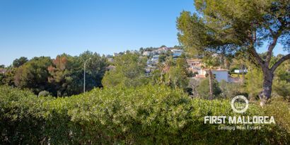 Real Estates picture 21 Ref. 78370