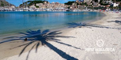 Real Estates picture 8 Ref. 78745