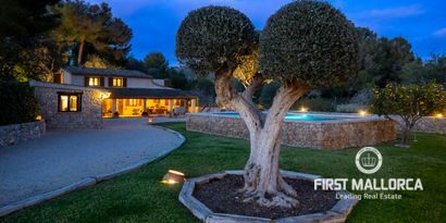 Inmobiliaria picture 0 Ref. Nº. 78796