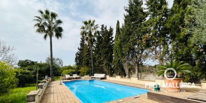 Immobilien picture 0 Ref. Nr. 78770