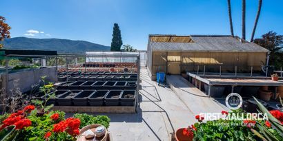 Real Estates picture 15 Ref. 78548