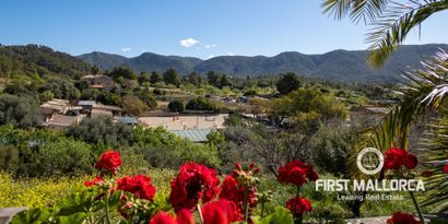 Real Estates picture 0 Ref. 78548