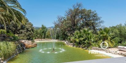 Inmobiliaria picture 4 Ref. Nº. 78977