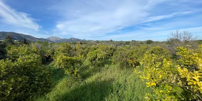 Inmobiliaria picture 2 Ref. Nº. 78996