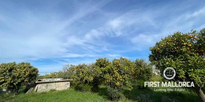 Inmobiliaria picture 17 Ref. Nº. 78996