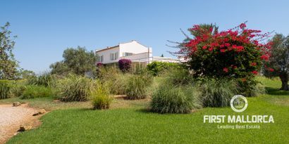 Inmobiliaria picture 41 Ref. Nº. 77290