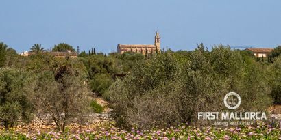 Inmobiliaria picture 42 Ref. Nº. 77290