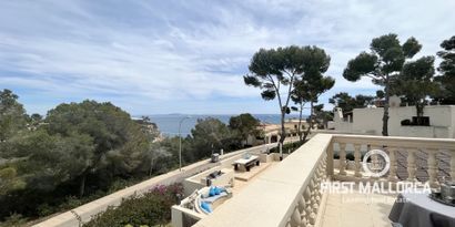 Real Estates picture 11 Ref. 74804