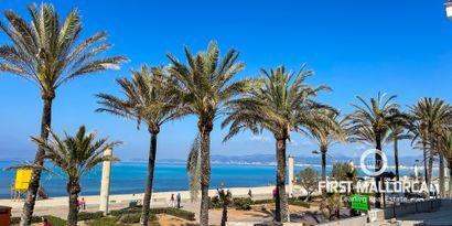 Real Estates picture 1 Ref. 78980